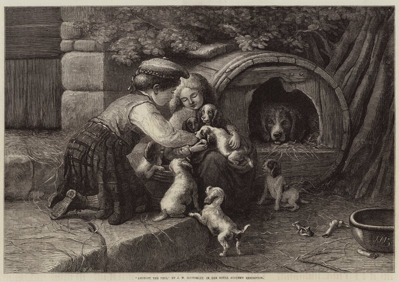 Amongst the Pets by John William Bottomley