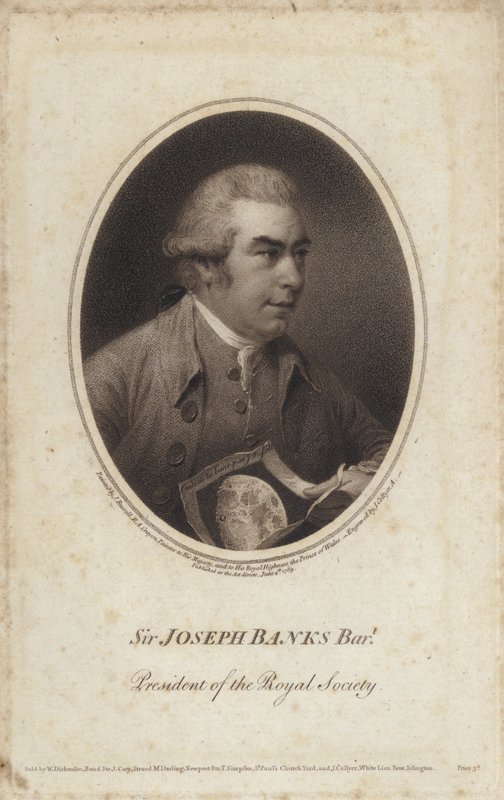 Sir Joseph Banks, English Naturalist, Botanist and President of the Royal Society by John (after) Russell
