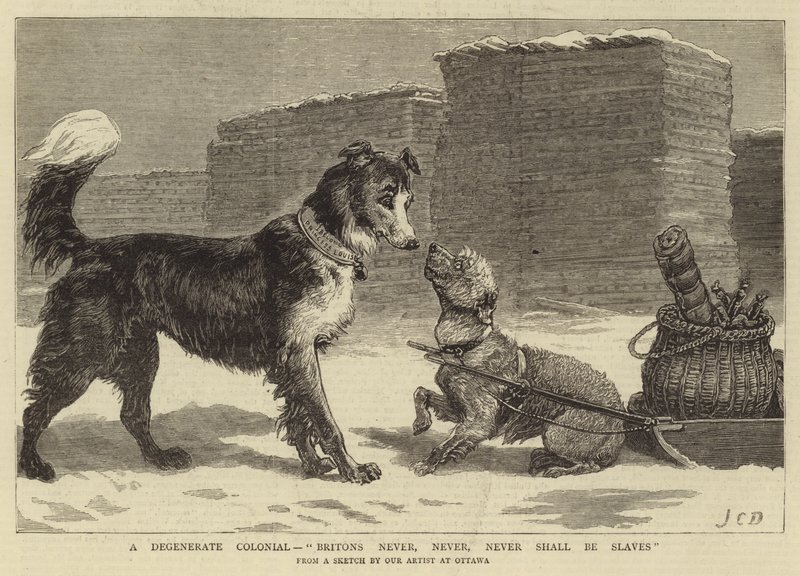 A Degenerate Colonial, Britons never, never, never shall be Slaves by John Charles Dollman