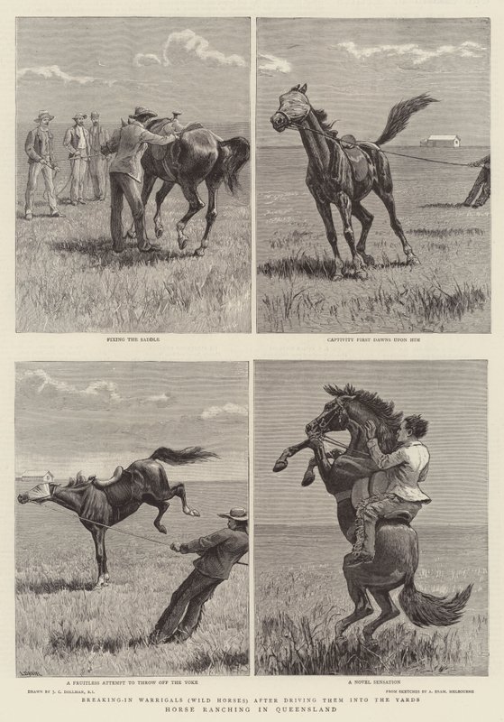 Horse Ranching in Queensland by John Charles Dollman
