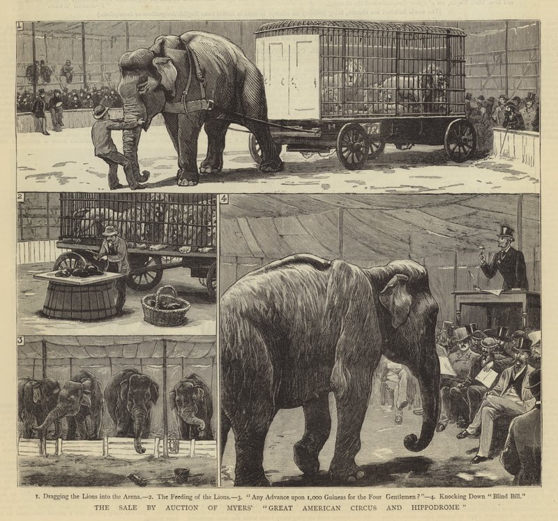 The Sale by Auction of Myers