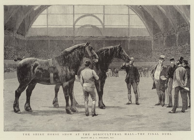 The Shire Horse Show at the Agricultural Hall, the Final Duel by John Charles Dollman
