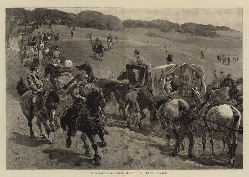 Goodwood, the Hill in the Park by John Charlton