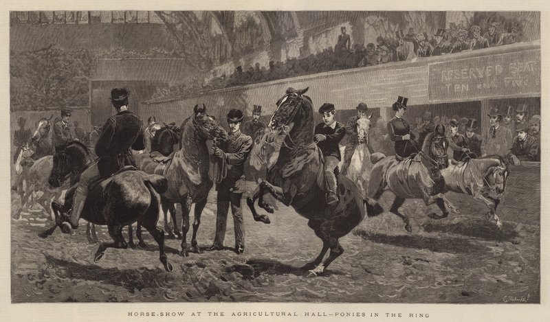 Horse-Show at the Agricultural Hall, Ponies in the Ring by John Charlton