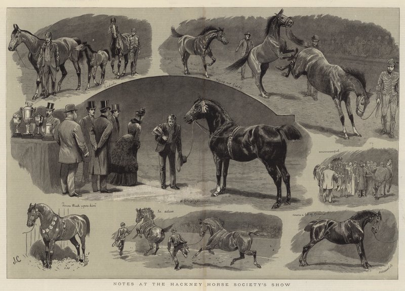 Notes at the Hackney Horse Society