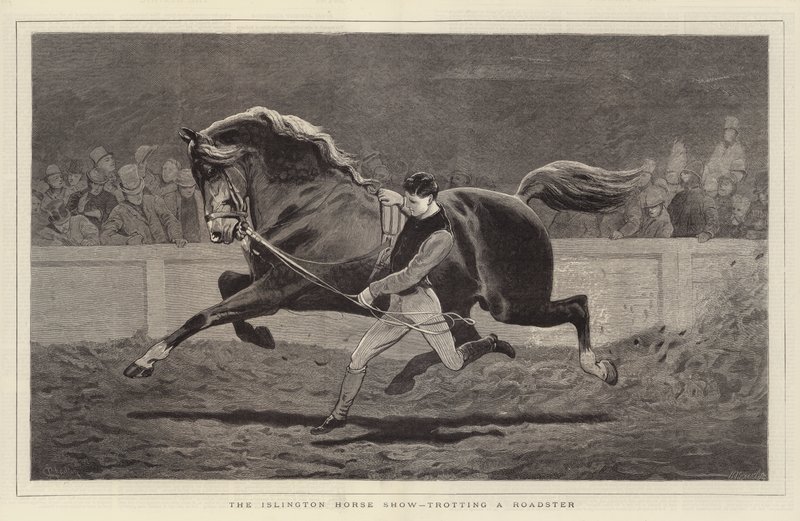 The Islington Horse Show, trotting a Roadster by John Charlton