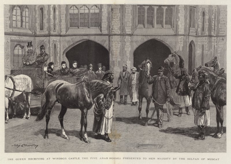 The Queen Receiving at Windsor Castle the Five Arab Horses Presented to Her Majesty by the Sultan of Muscat by John Charlton