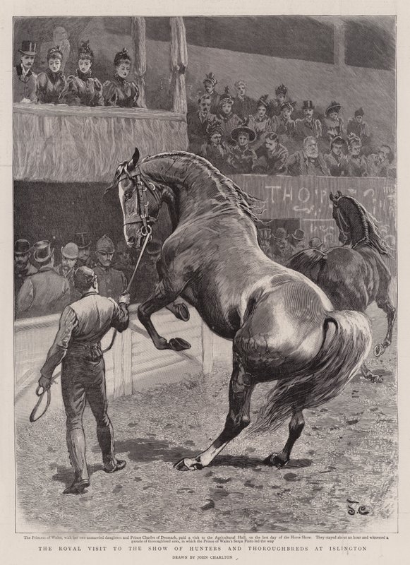 The Royal Visit to the Show of Hunters and Thoroughbreds at Islington by John Charlton