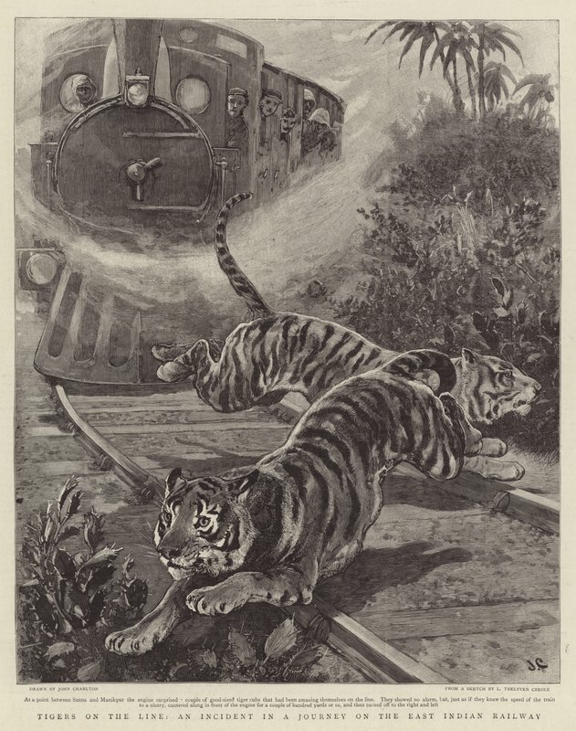 Tigers on the Line, an Incident in a Journey on the East Indian Railway by John Charlton