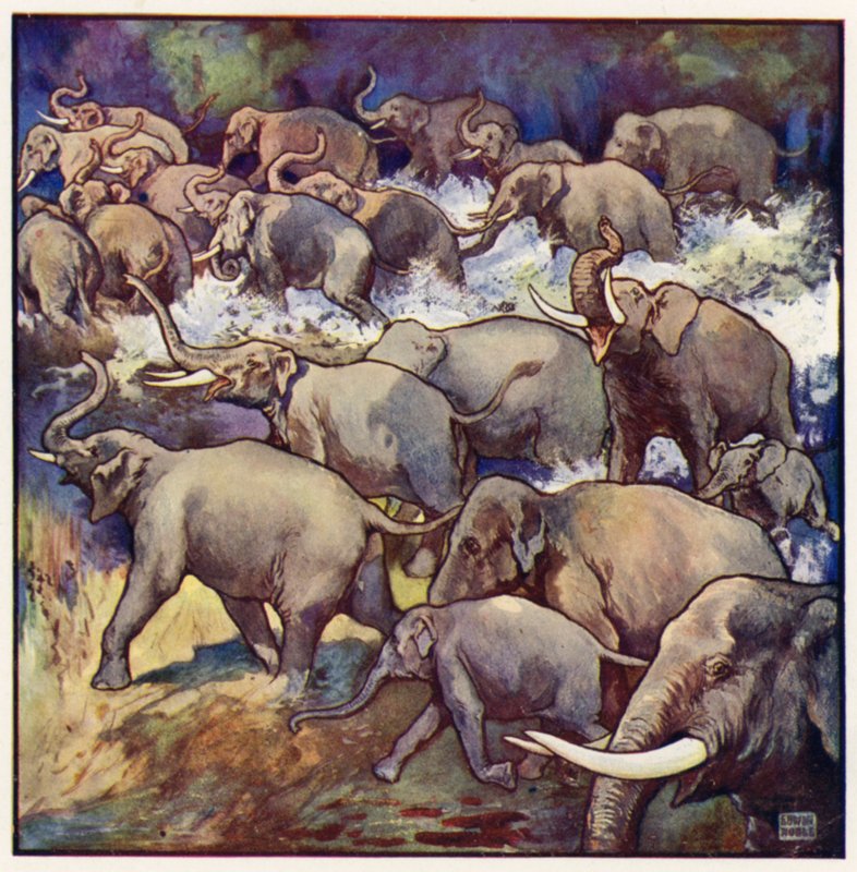 On came the herd in gallant style, throwing the spray from the muddy water by John Edwin Noble