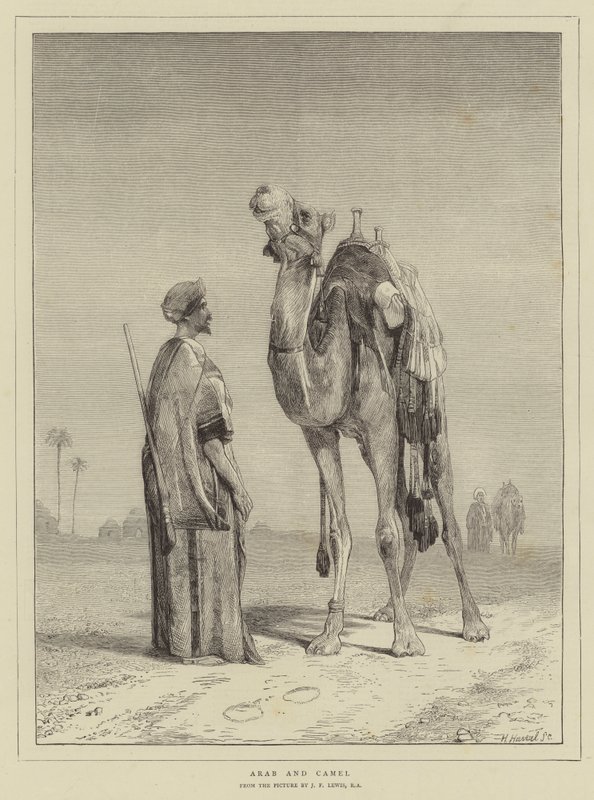 Arab and Camel by John Frederick Lewis