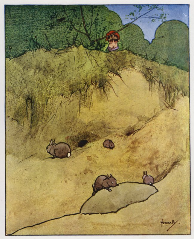 The Rabbit by John Hassall