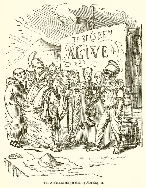 The Ambassadors Purchasing Aesculapius by John Leech