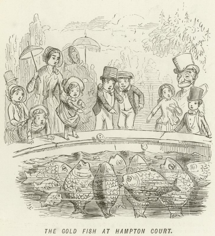 The Gold Fish at Hampton Court by John Leech