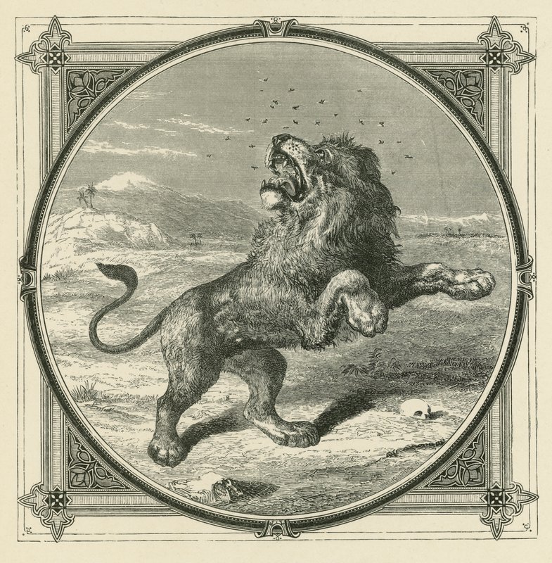 The Gnat stings the eyes of the Lion by John Leighton