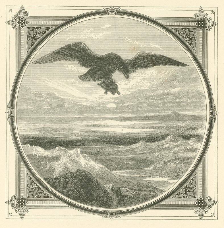 The higher the rise the greater the fall by John Leighton