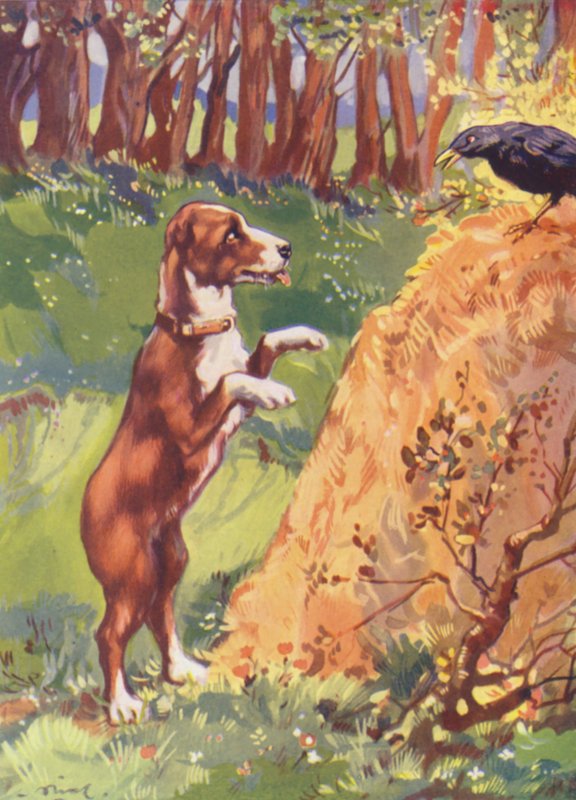Illustration for Beautiful Joe by Marshall Saunders by John Nicholson