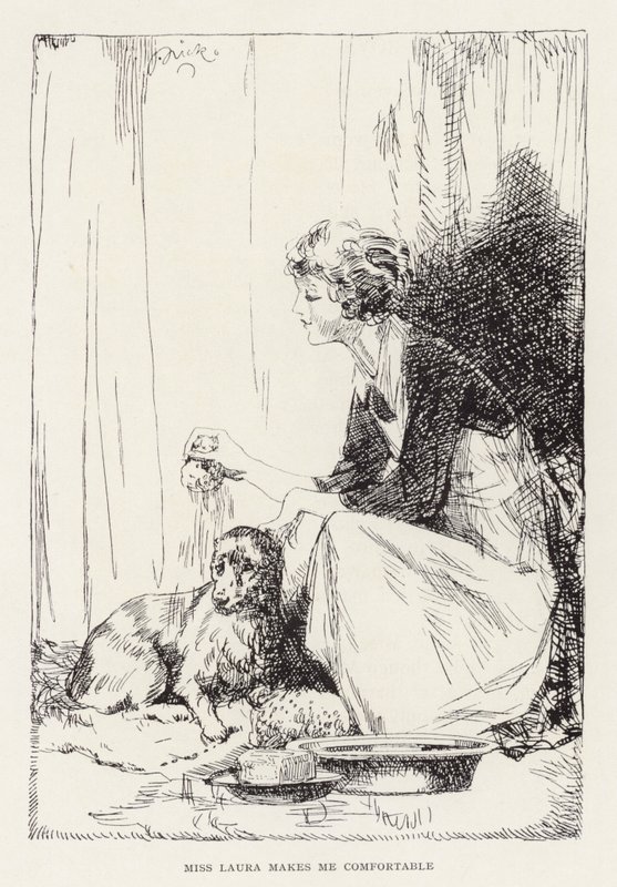 Illustration for Beautiful Joe by Marshall Saunders by John Nicholson