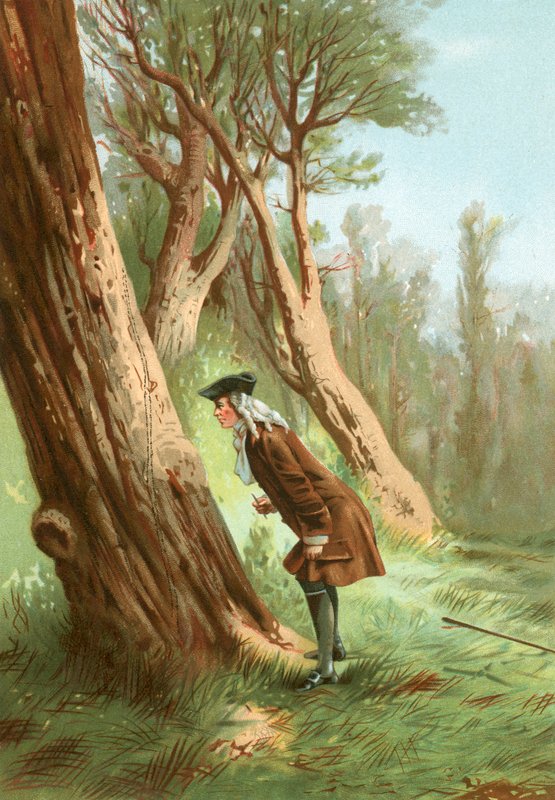 Reaumur studying insects by Jose Armet Portanell