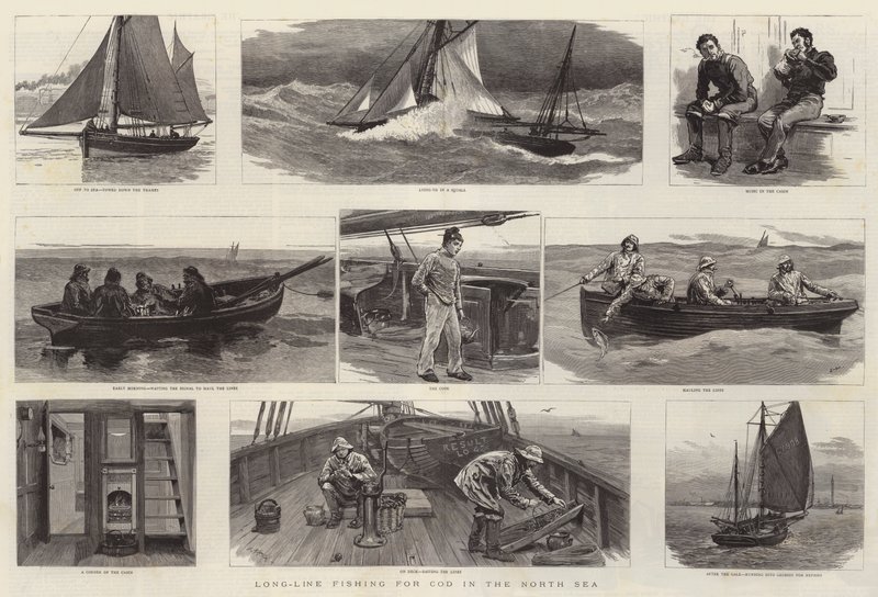 Long-Line Fishing for Cod in the North Sea by Joseph Nash