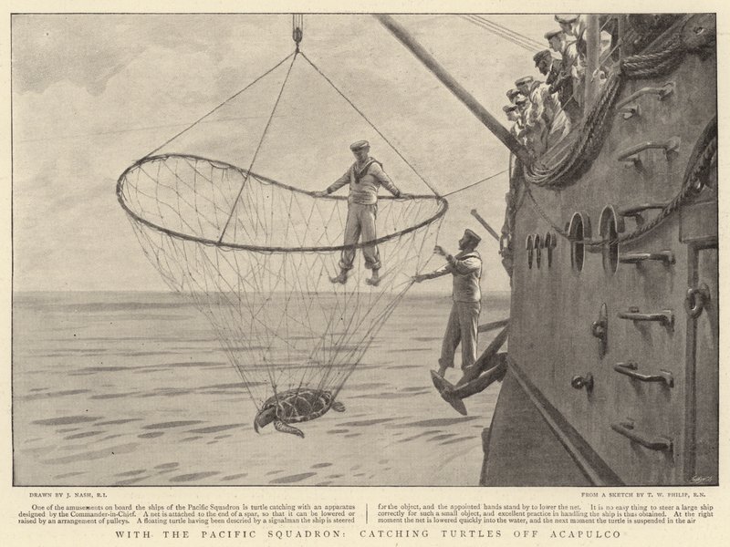 With the Pacific Squadron, catching Turtles off Acapulco by Joseph Nash