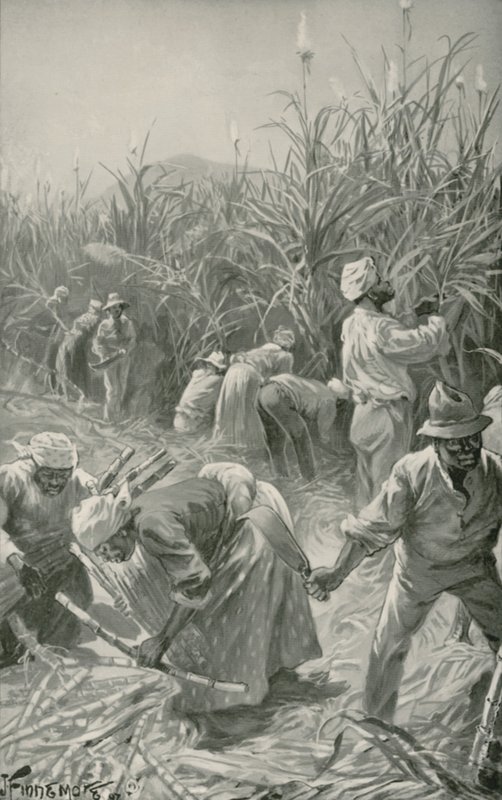 Black at Work in a Sugar-Cane Plantation in Jamaica by Joseph (after) Finnemore
