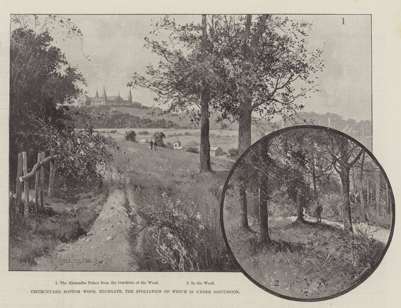 Churchyard Bottom Wood, Highgate by Joseph Holland Tringham