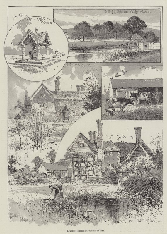 Rambling Sketches, Ockley, Surrey by Joseph Holland Tringham