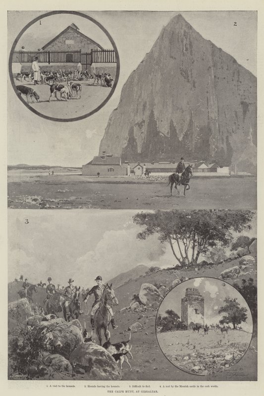 The Calpe Hunt, at Gibraltar by Joseph Holland Tringham