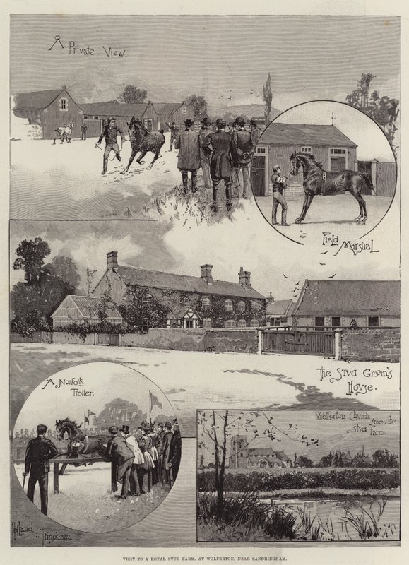Visit to a Royal Stud Farm, at Wolferton, near Sandringham by Joseph Holland Tringham