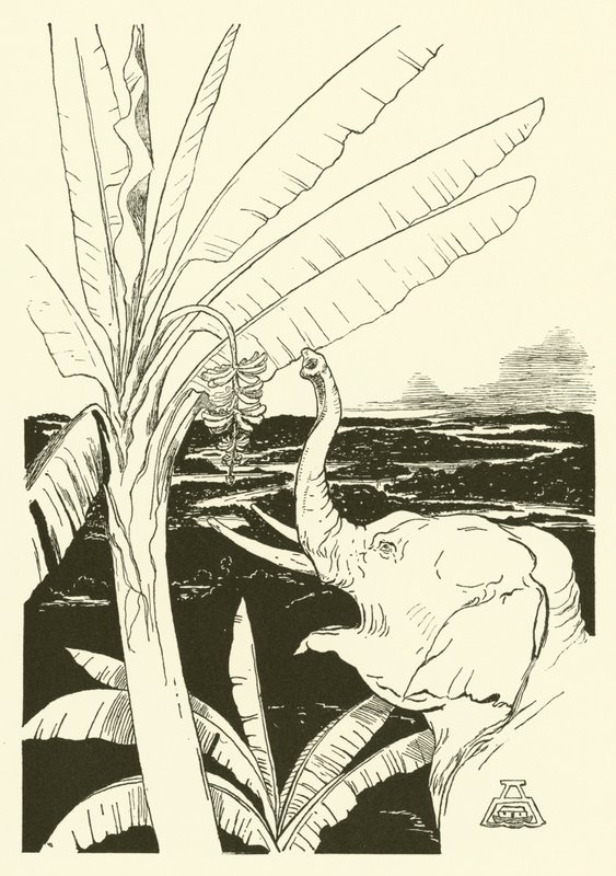 The Elephant