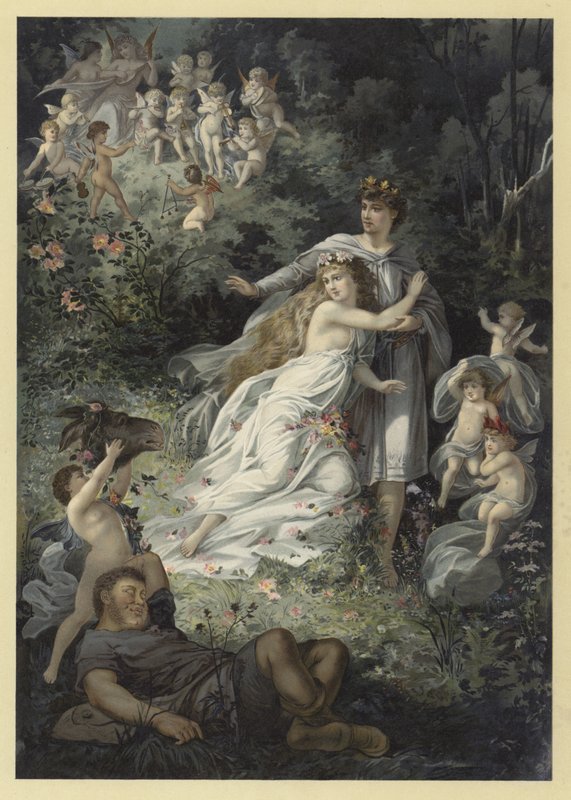Illustration for A Midsummer Night