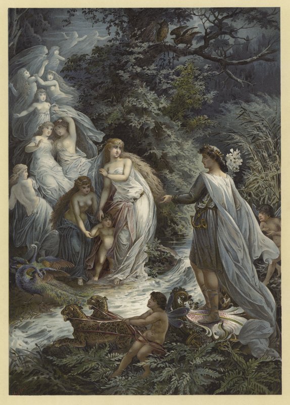 Illustration for A Midsummer Night