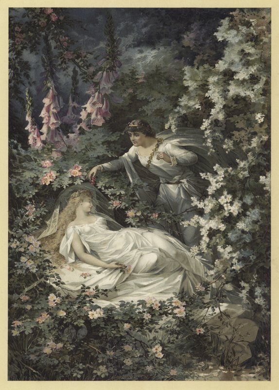 Illustration for A Midsummer Night