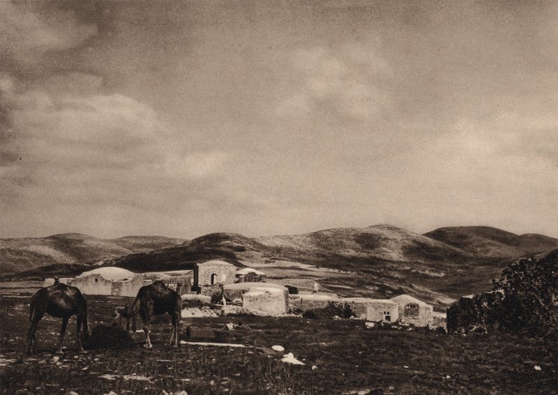 Samaria, View from the Ruins of Herod