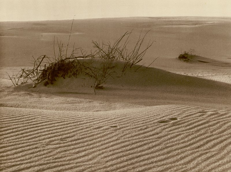 Shifting Dune on the Kurisches Sand-Spit in the North of Rossitten by Kurt Hielscher