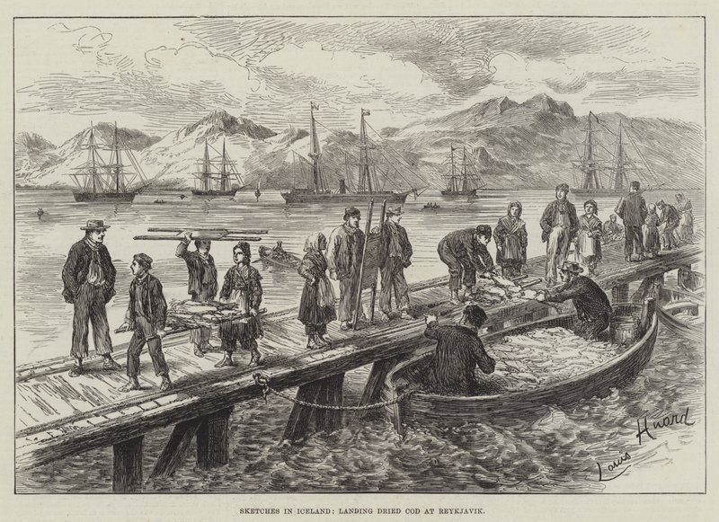 Sketches in Iceland, Landing Dried Cod at Reykjavik by L. Huard