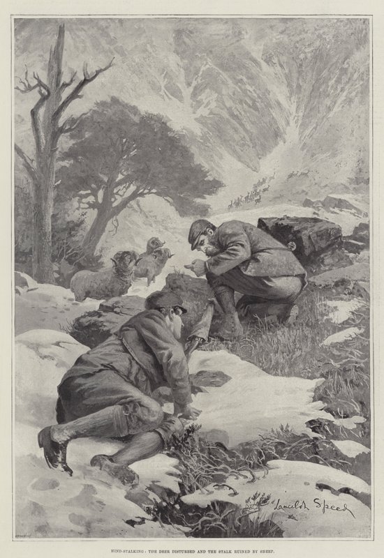 Hind-Stalking, the Deer disturbed and the Stalk ruined by Sheep by Lancelot Speed