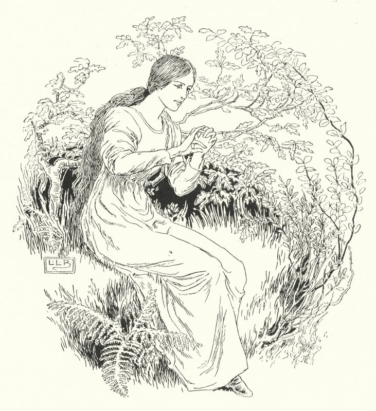 I Went to the Wood and Got It by Leonard Leslie Brooke