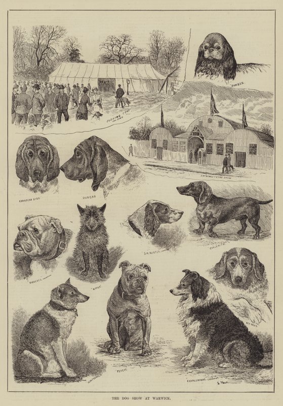 The Dog Show at Warwick by Louis Wain