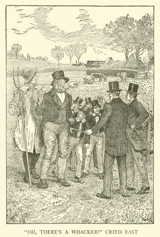 Illustration for Tom Brown