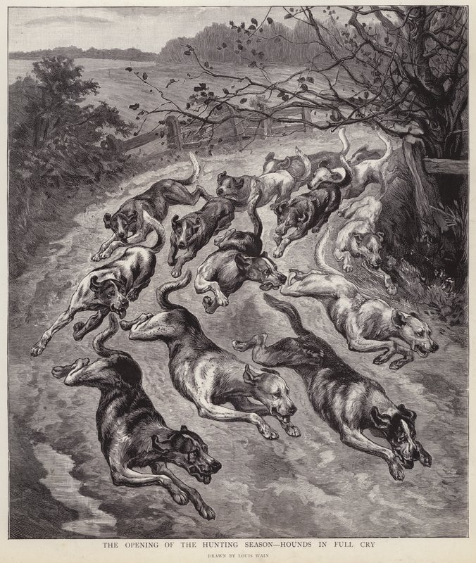 Hounds in full cry at the start of the hunting season by Louis Wain