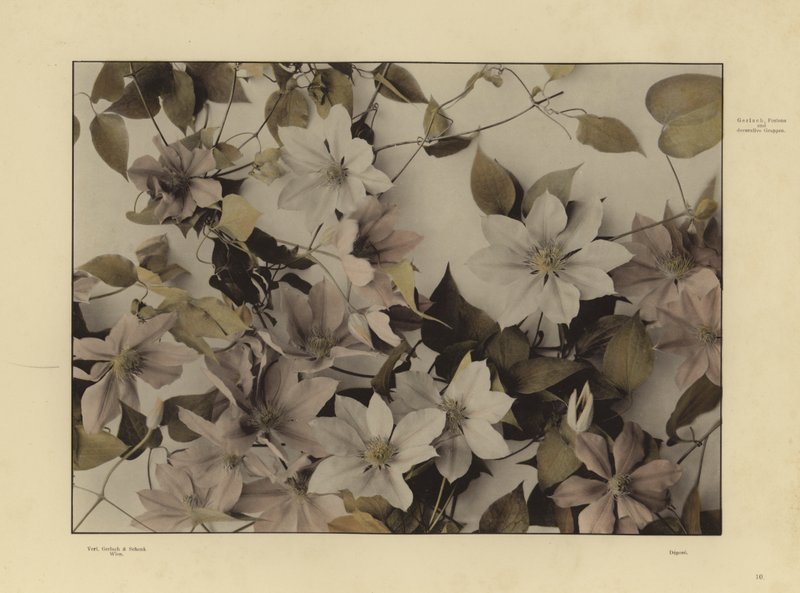 One of Martin Gerlach’s Festons und Decorative Gruppen by Martin senior Gerlach