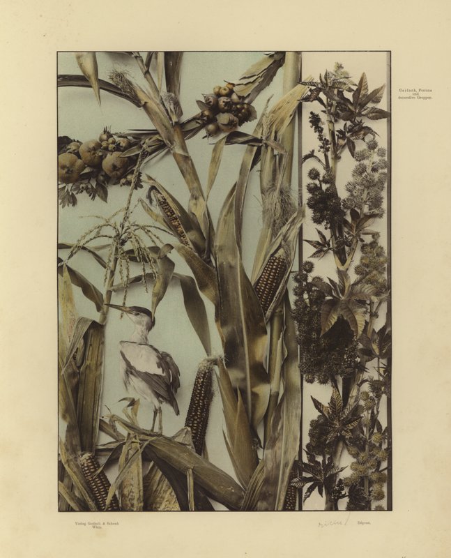 One of Martin Gerlach’s Festons und Decorative Gruppen by Martin senior Gerlach