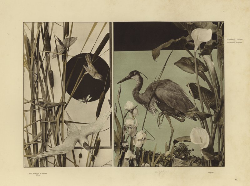 One of Martin Gerlach’s Festons und Decorative Gruppen by Martin senior Gerlach
