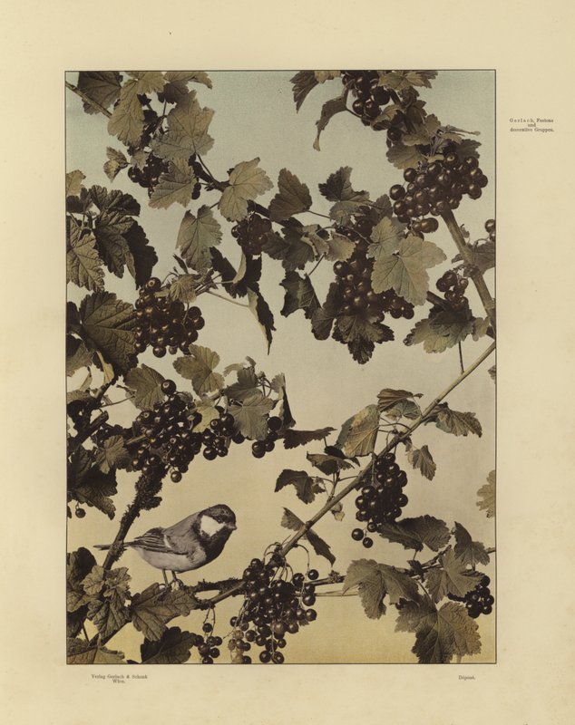 One of Martin Gerlach’s Festons und Decorative Gruppen by Martin senior Gerlach
