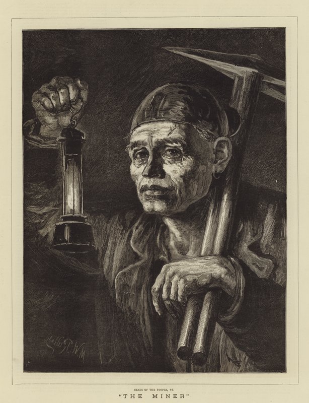 The Miner by Matthew White Ridley