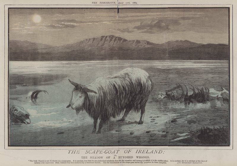 The Scape-Goat of Ireland; or, The Shadow of a Hundred Wrongs by Matthew