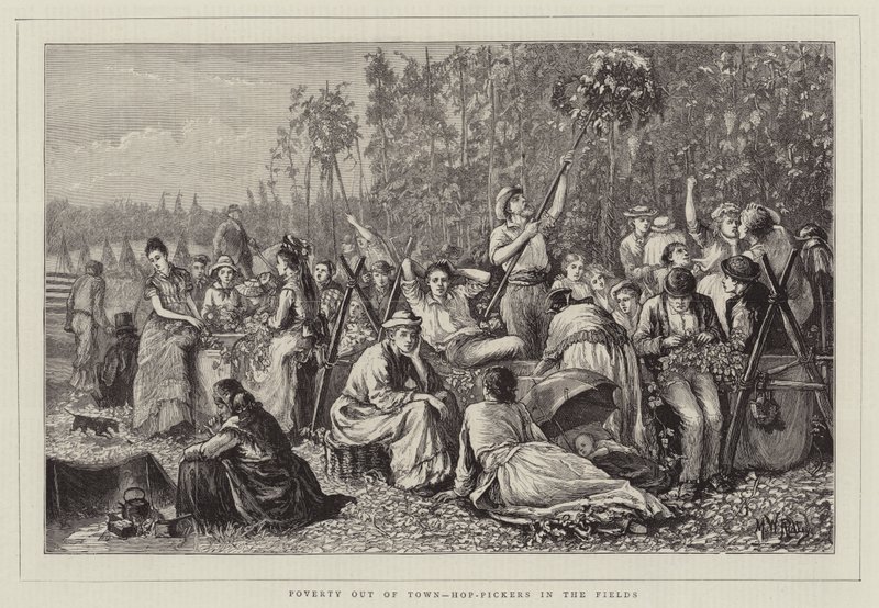 Poverty Out of Town, Hop-Pickers in the Fields by Matthew White Ridley