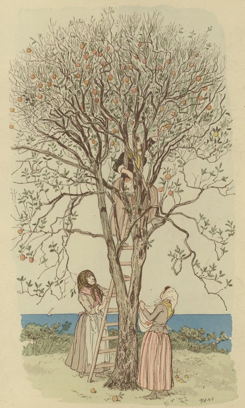 Picking Oranges on the Mediterranean by Maurice Charles Mathieu Bonvoisin